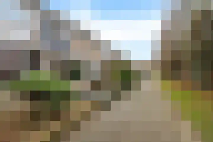 Naberpad 16 Eindhoven thumbnail 7