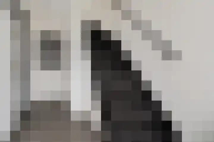 Naberpad 16 Eindhoven thumbnail 8
