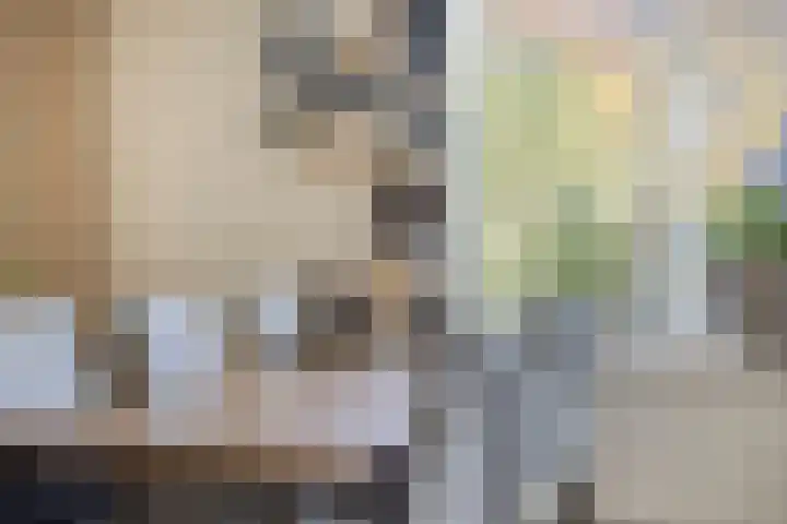 Naberpad 4 Eindhoven thumbnail 24