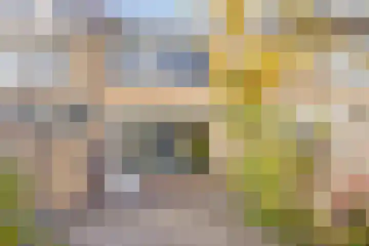 Naberpad 4 Eindhoven thumbnail 47