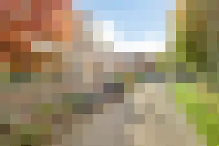 Naberpad 4 Eindhoven thumbnail 7