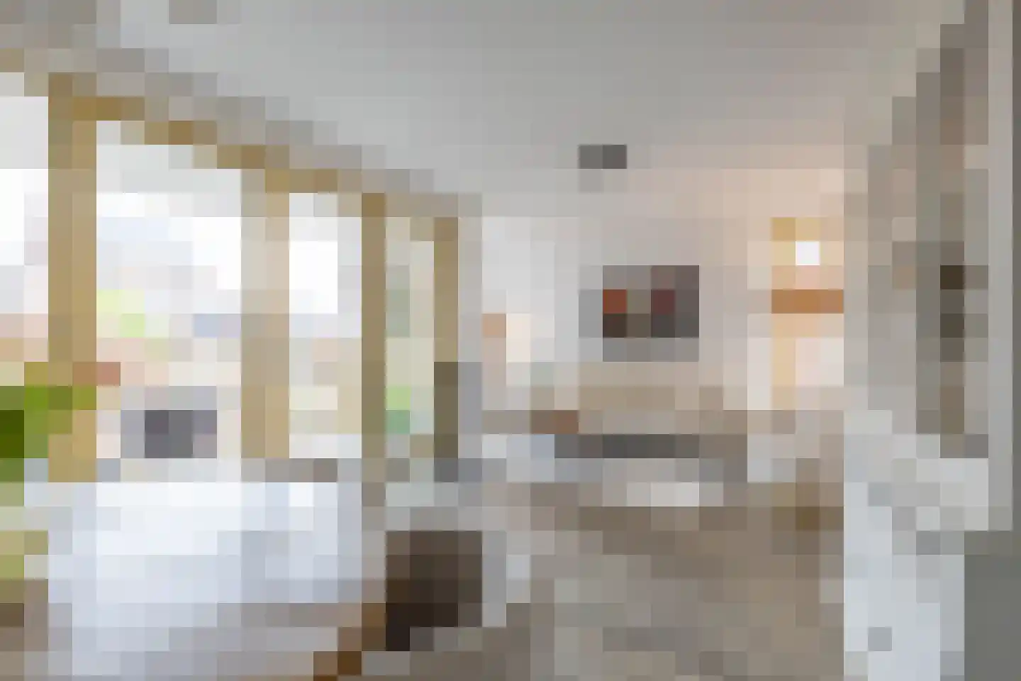 Naberstraat 11 Groningen thumbnail 17