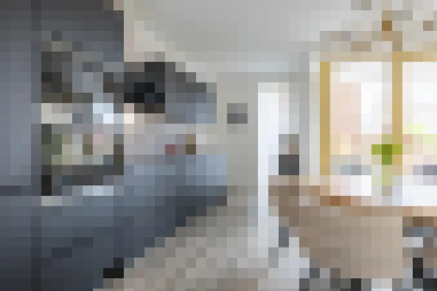Naberstraat 11 Groningen thumbnail 25