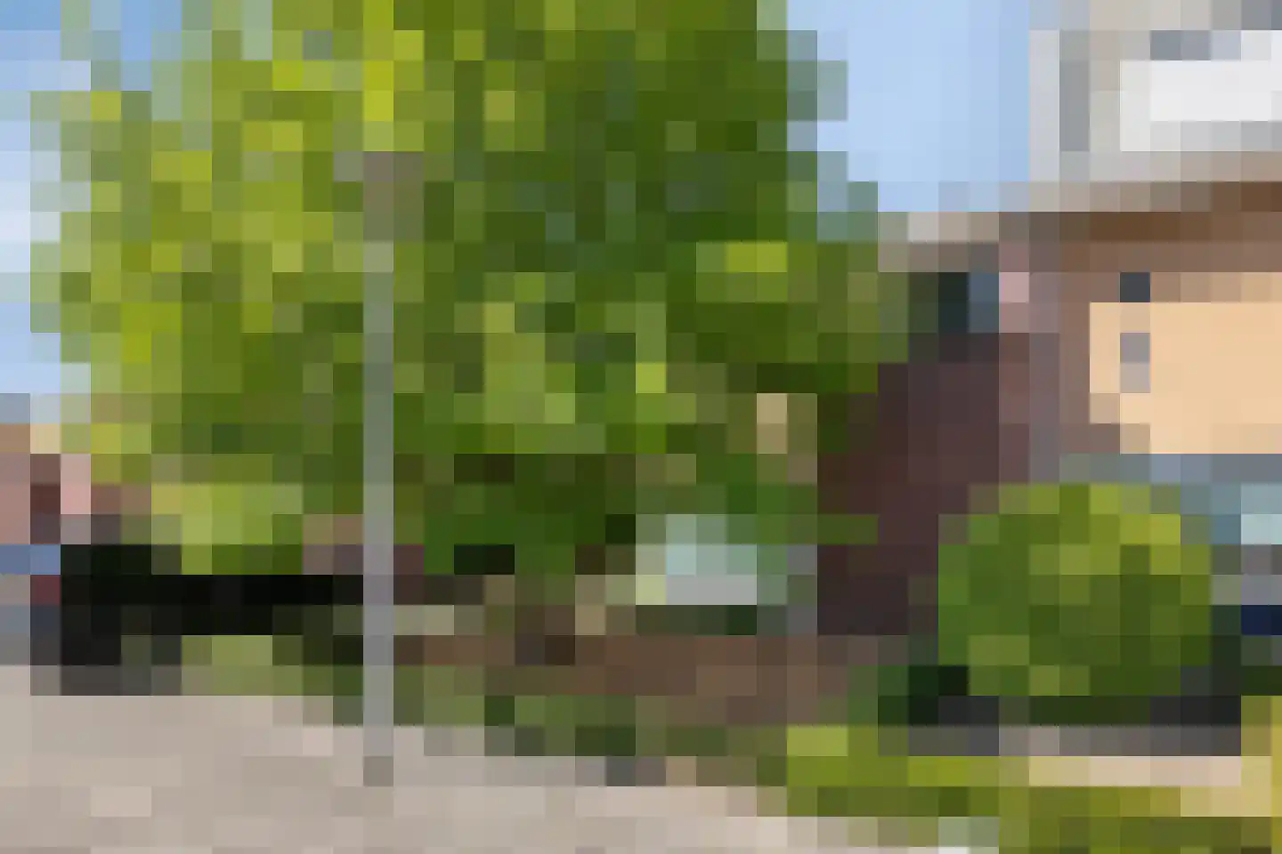 Nabucco 25 Eindhoven thumbnail 40