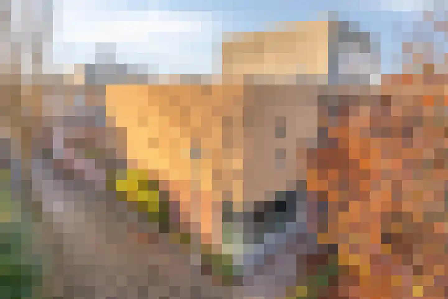 Nabucco 25 Eindhoven thumbnail 8