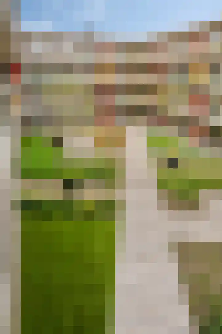 Nabucco 36 Krimpen aan den IJssel thumbnail 20