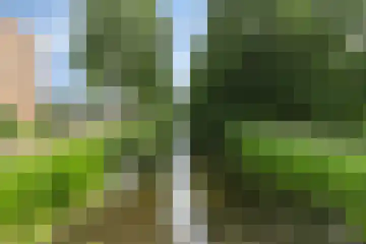 Nabucco 36 Krimpen aan den IJssel thumbnail 28