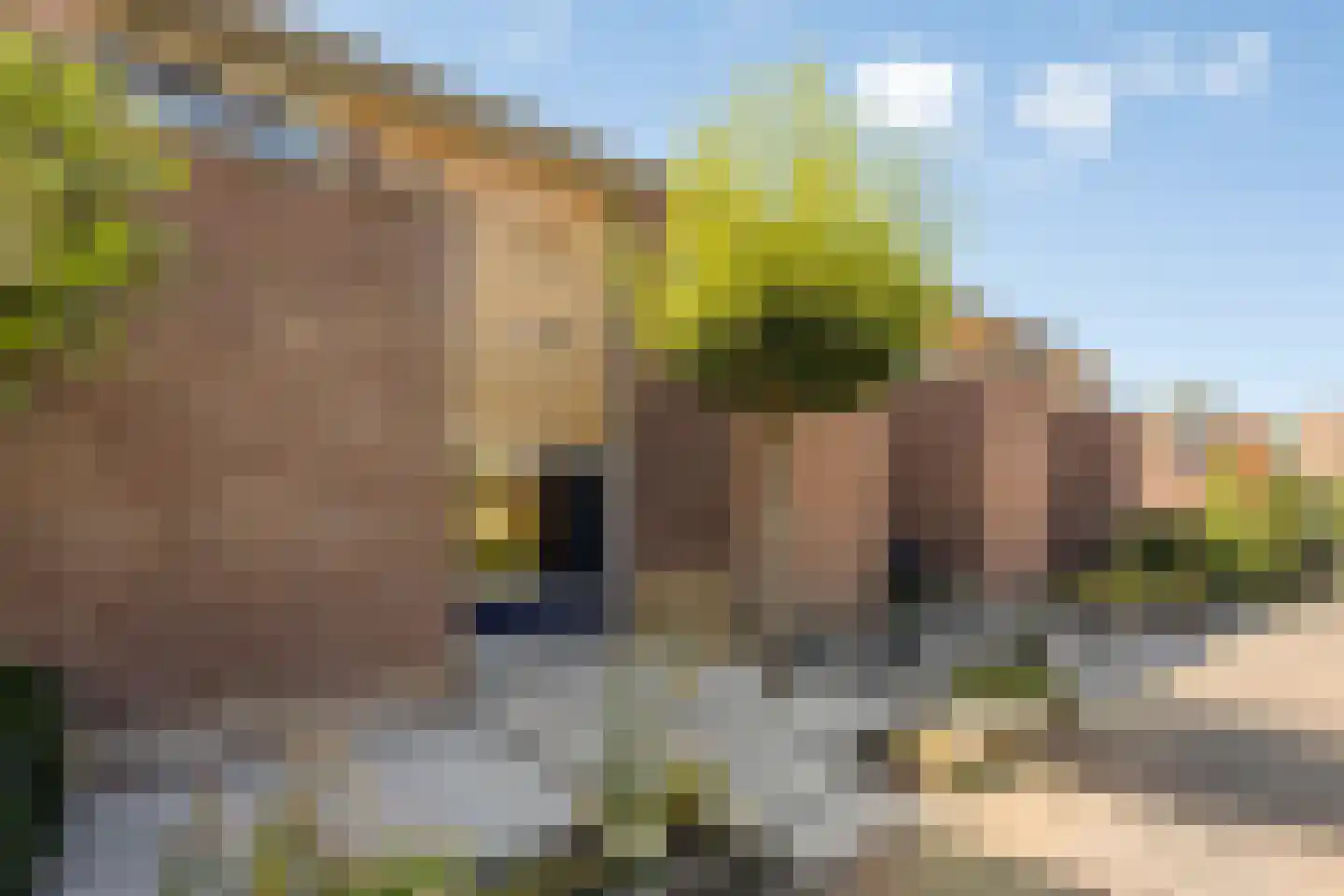 Nabucco 8 Eindhoven thumbnail 6