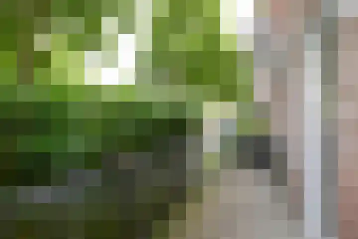 Nabuccosingel 1 Nieuw-Vennep thumbnail 11