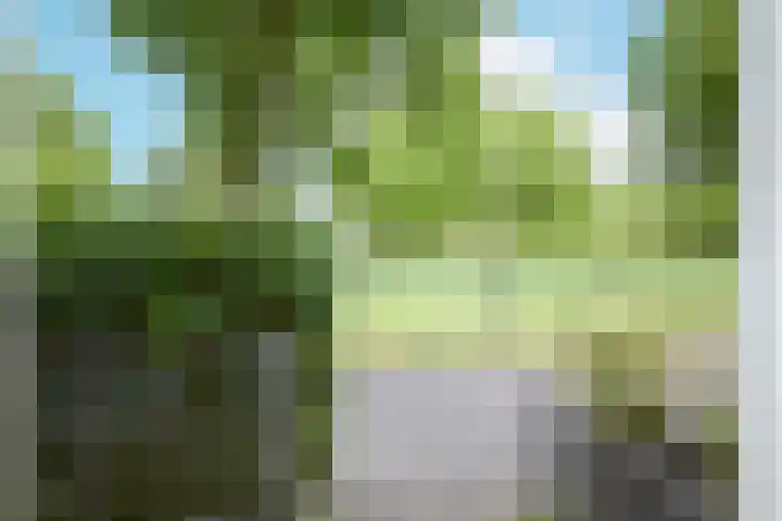 Nabuccosingel 1 Nieuw-Vennep thumbnail 17