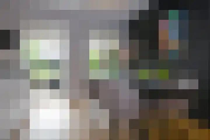 Nabuccosingel 1 Nieuw-Vennep thumbnail 25