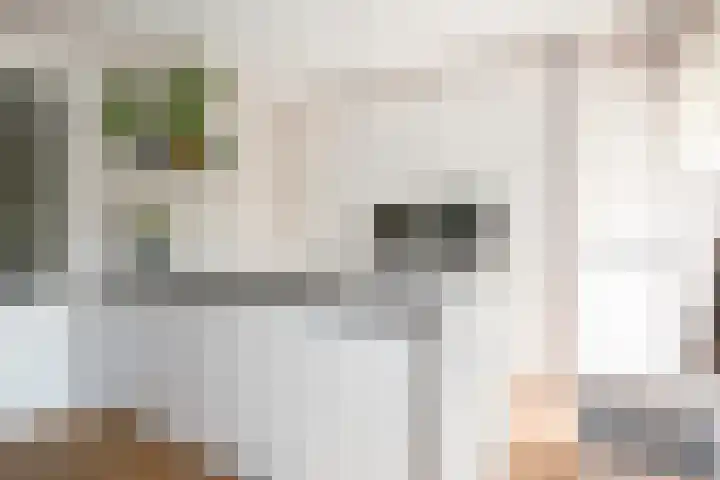 Nabuccosingel 1 Nieuw-Vennep thumbnail 27