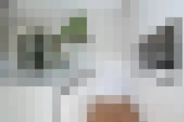 Nabuccosingel 1 Nieuw-Vennep thumbnail 28