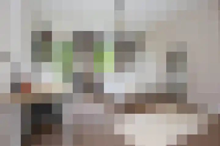 Nabuccosingel 1 Nieuw-Vennep thumbnail 44