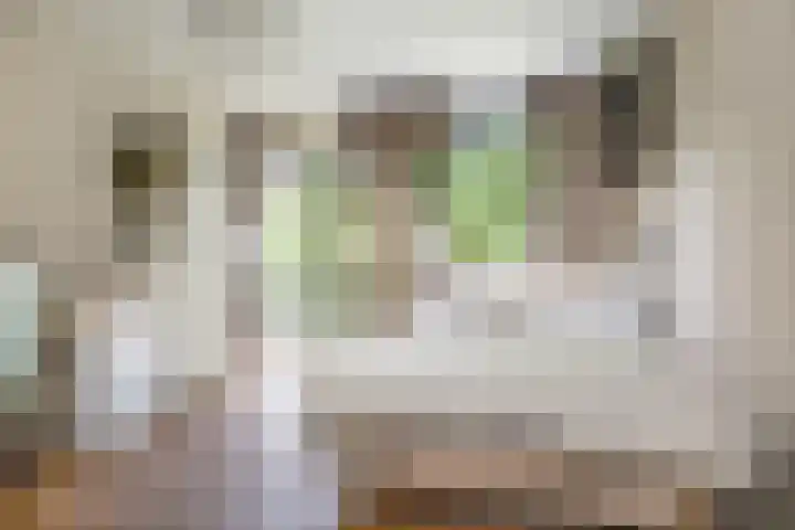 Nabuccosingel 1 Nieuw-Vennep thumbnail 5