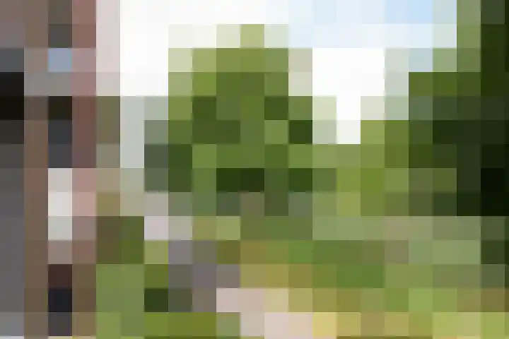 Nabuccosingel 1 Nieuw-Vennep thumbnail 51
