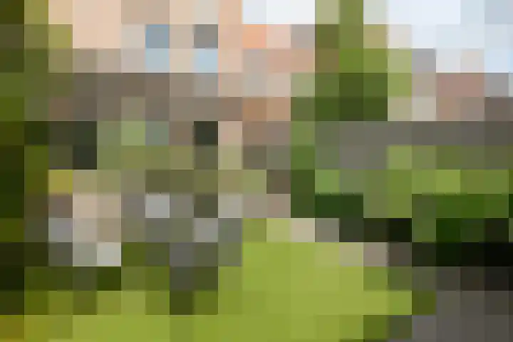Nabuccosingel 1 Nieuw-Vennep thumbnail 65