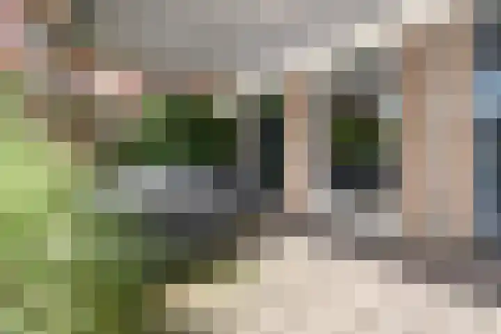 Nabuccosingel 1 Nieuw-Vennep thumbnail 68