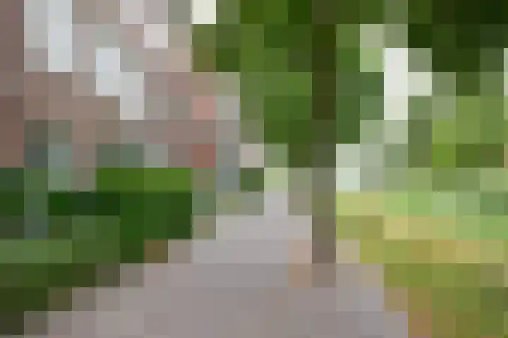 Nabuccosingel 1 Nieuw-Vennep thumbnail 7