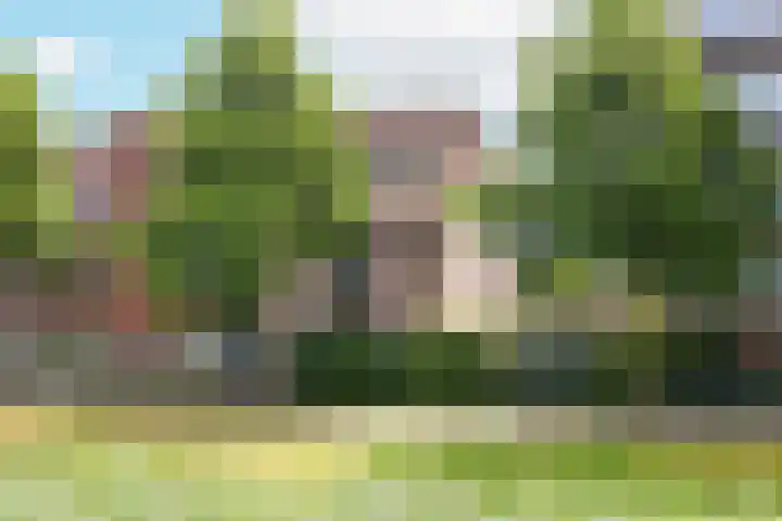 Nabuccosingel 1 Nieuw-Vennep thumbnail 8