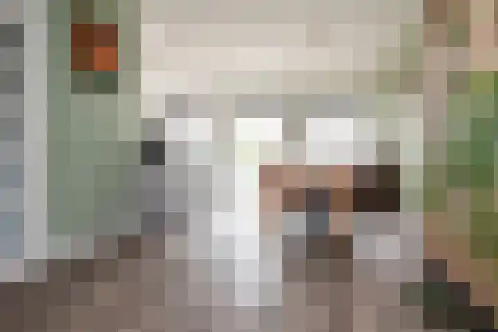 Nabuccosingel 9 Nieuw-Vennep thumbnail 13