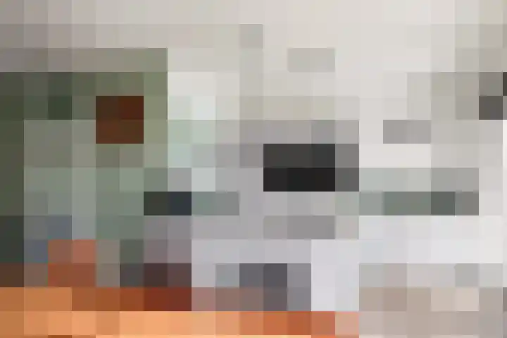 Nabuccosingel 9 Nieuw-Vennep thumbnail 14
