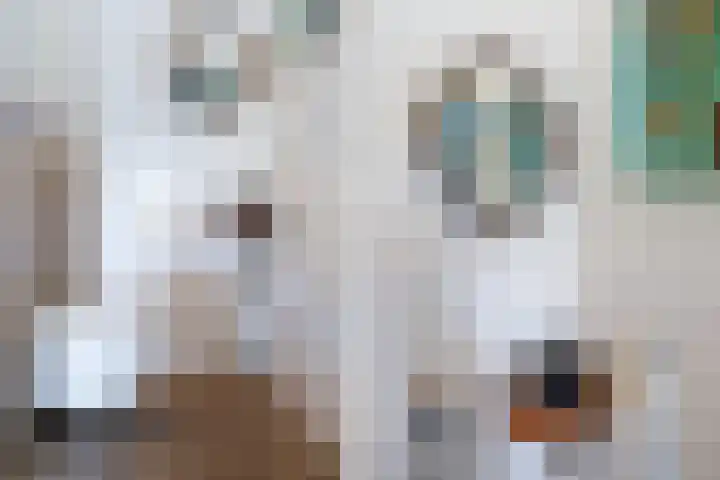 Nabuccosingel 9 Nieuw-Vennep thumbnail 20