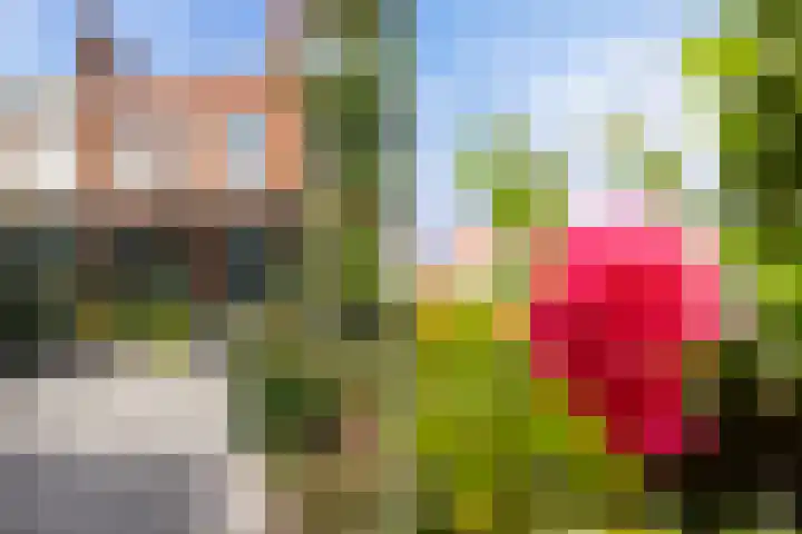 Nabuccosingel 9 Nieuw-Vennep thumbnail 42