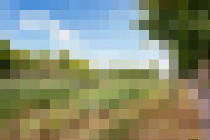 Nabuccosingel 9 Nieuw-Vennep thumbnail 44
