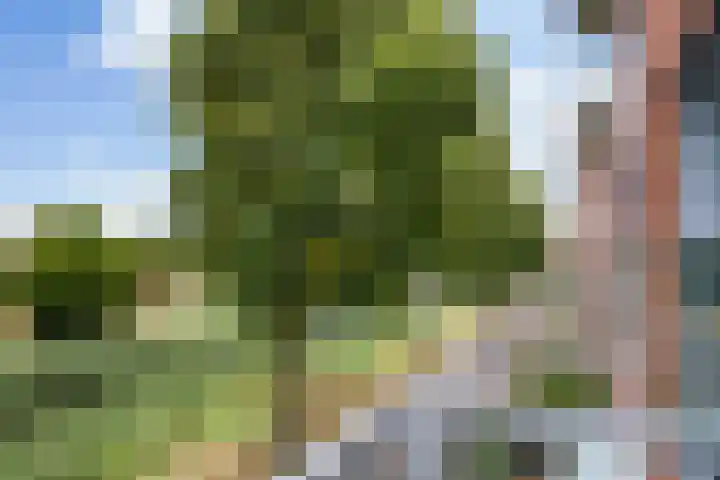 Nabuccosingel 9 Nieuw-Vennep thumbnail 6