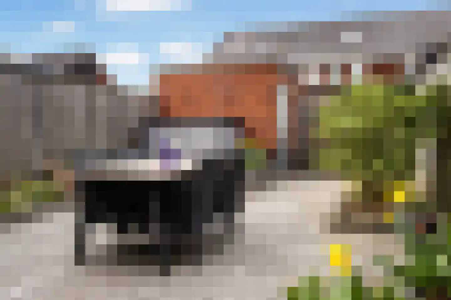 Nabuccostraat 12 Apeldoorn thumbnail 21
