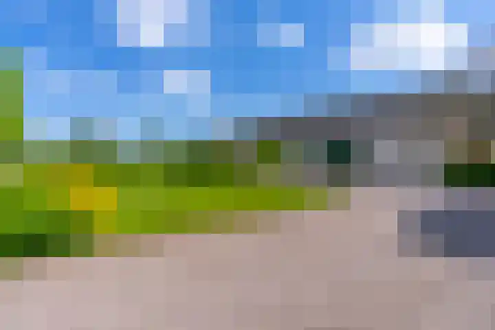 Nachtdijk 1 b Cothen thumbnail 10
