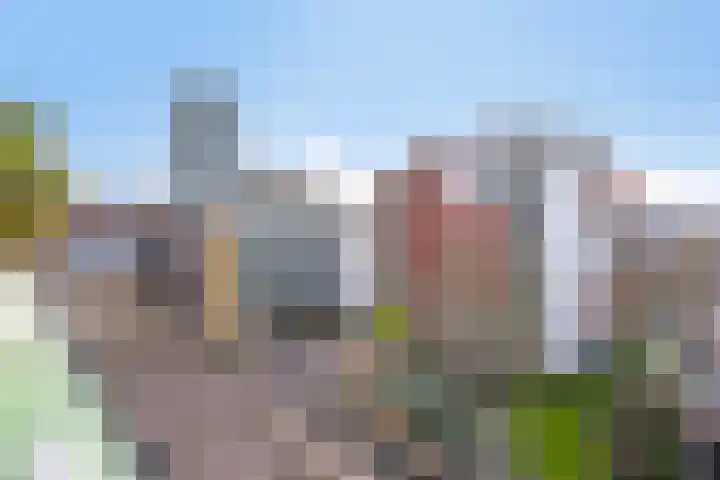 Nachtdijk 1 b Cothen thumbnail 13