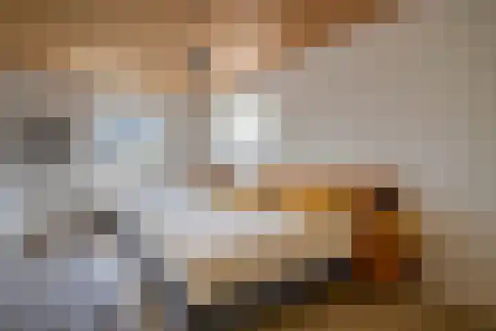 Nachtdijk 1 b Cothen thumbnail 20