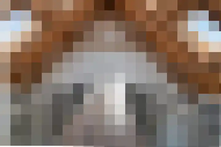 Nachtdijk 1 b Cothen thumbnail 22