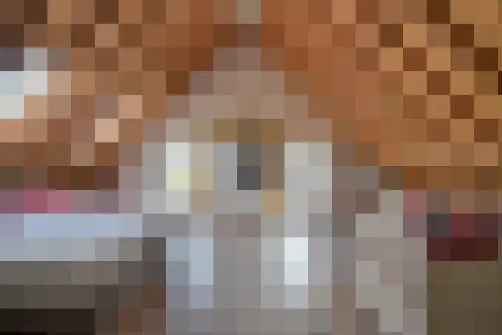 Nachtdijk 1 b Cothen thumbnail 24