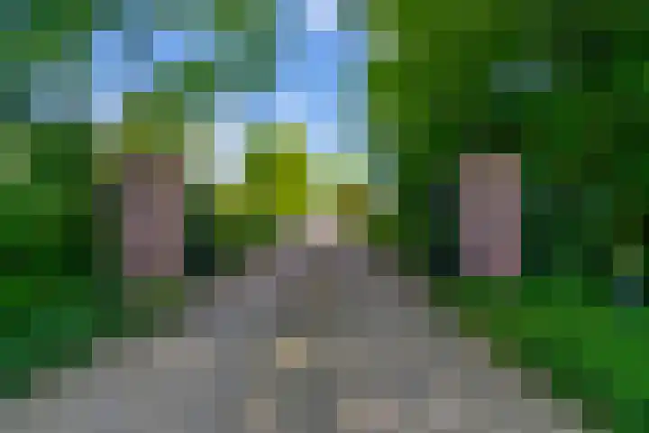 Nachtdijk 1 b Cothen thumbnail 9