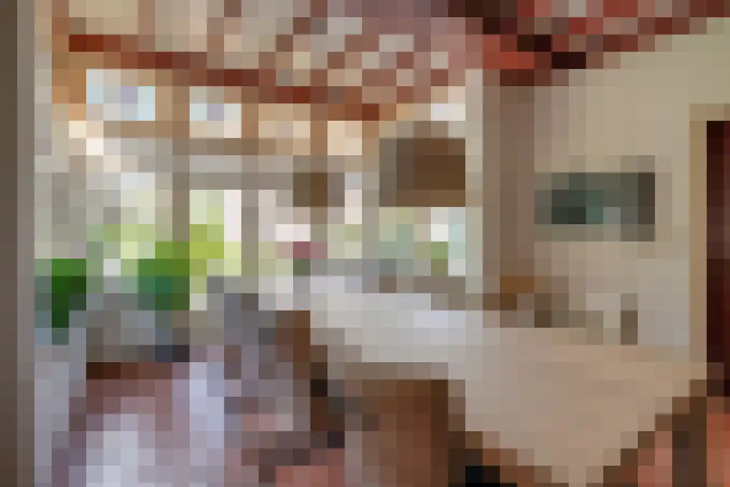 Nachtdijk 1 Cothen thumbnail 14