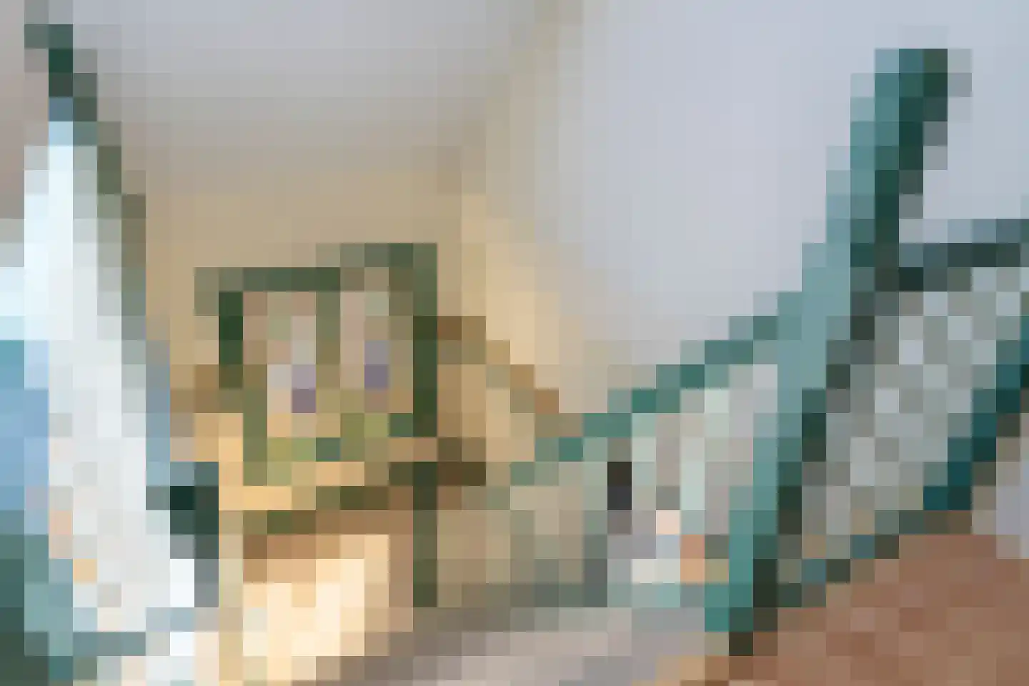 Nachtdijk 1 Cothen thumbnail 23