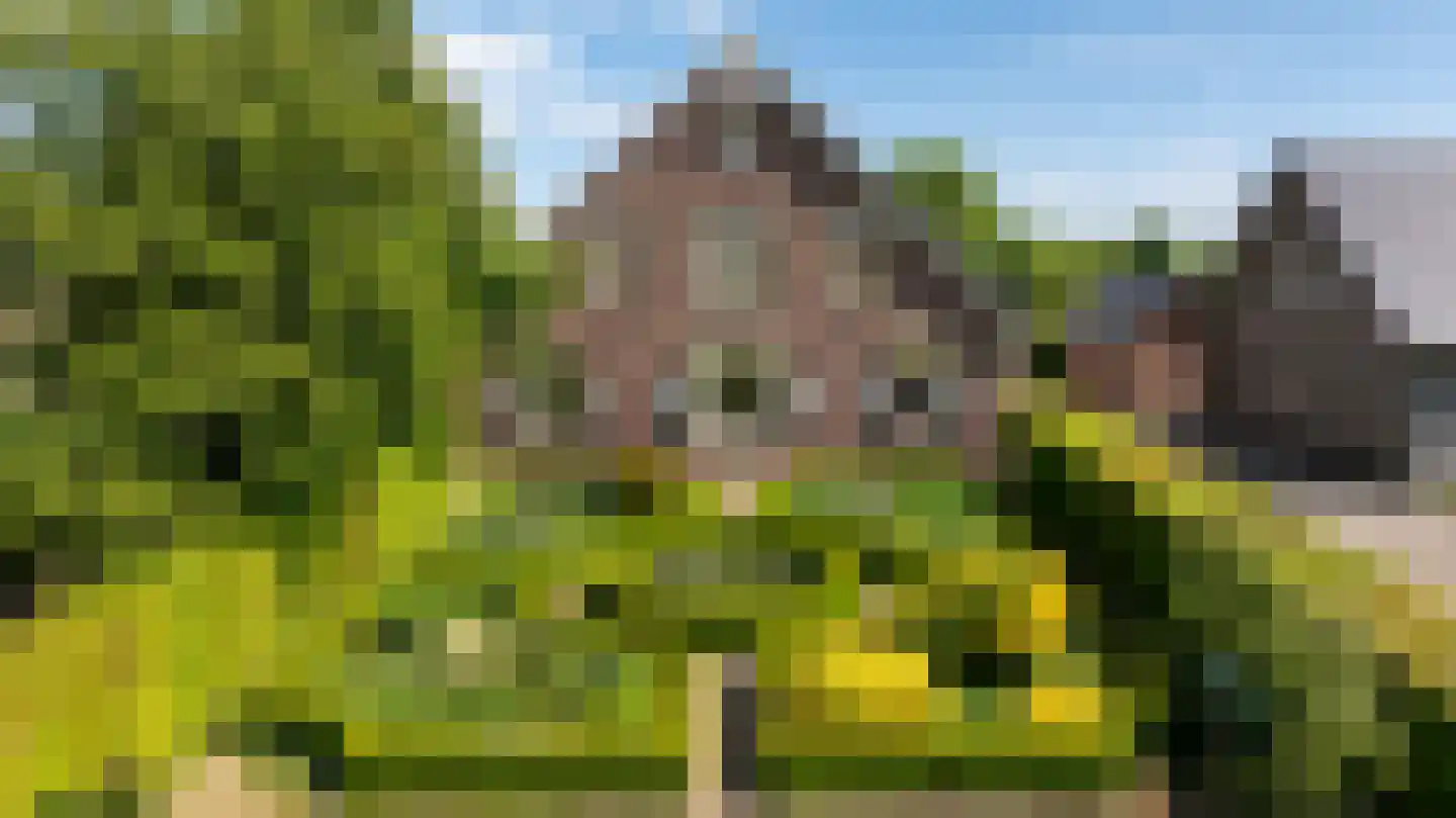 Nachtdijk 1 Cothen foto 3