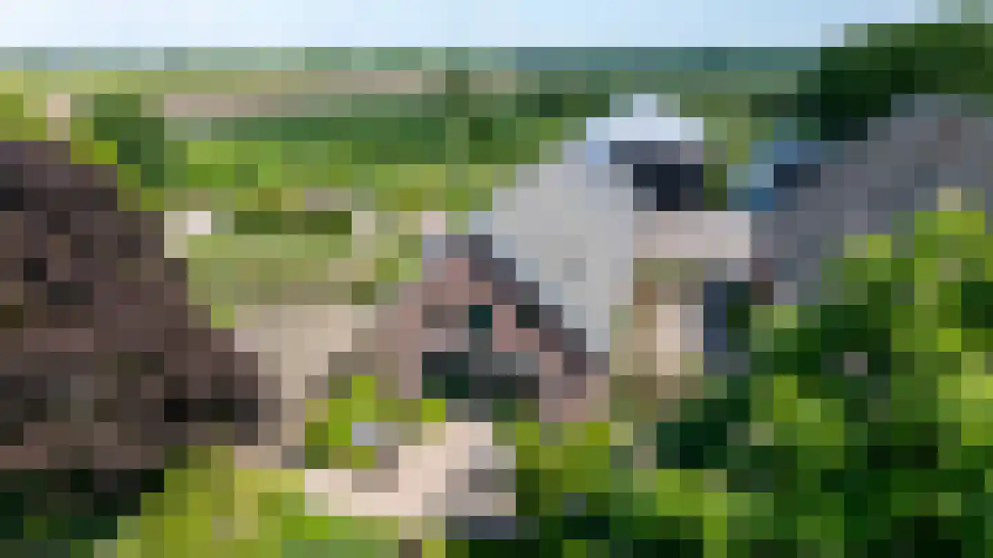 Nachtdijk 1 Cothen thumbnail 37
