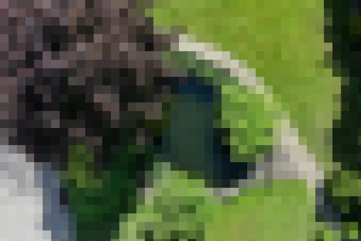 Nachtdijk 1 Cothen thumbnail 38
