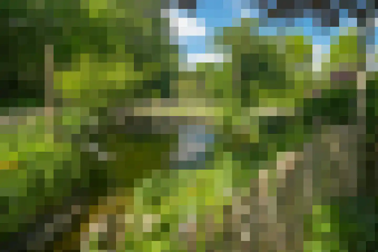 Nachtdijk 1 Cothen thumbnail 39