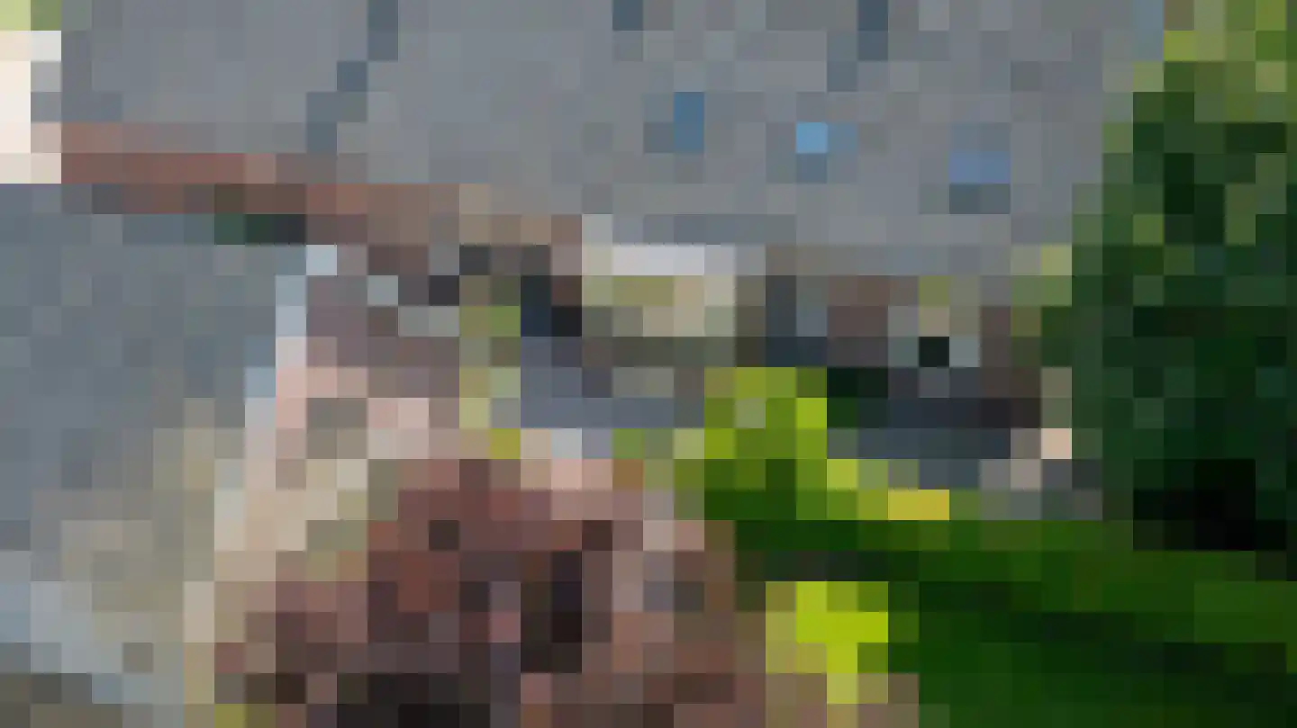 Nachtdijk 1 Cothen thumbnail 7