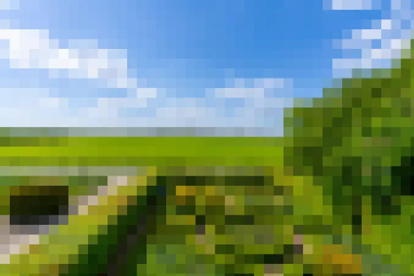 Nachtdijk 1 Cothen thumbnail 8