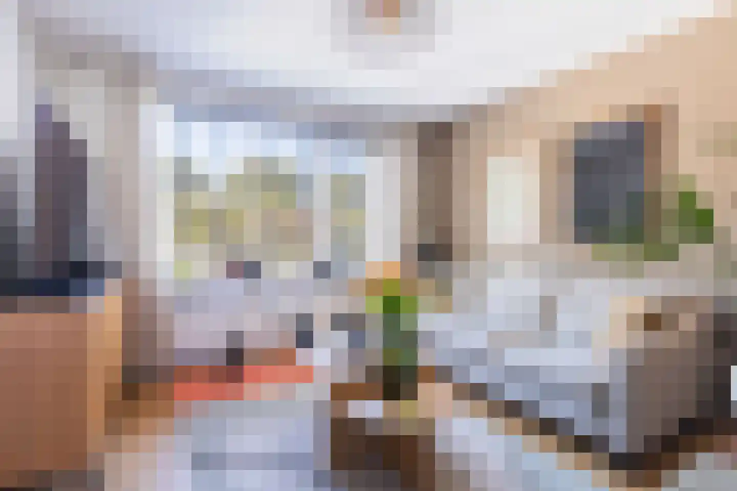 Nachtegaal 100 Hoorn thumbnail 10