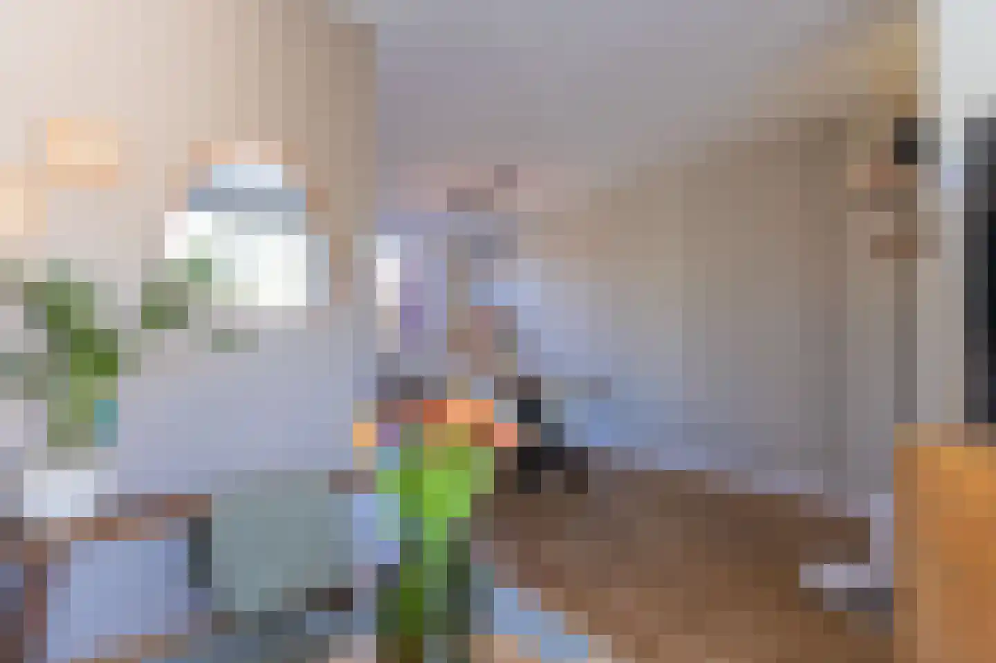 Nachtegaal 100 Hoorn thumbnail 12