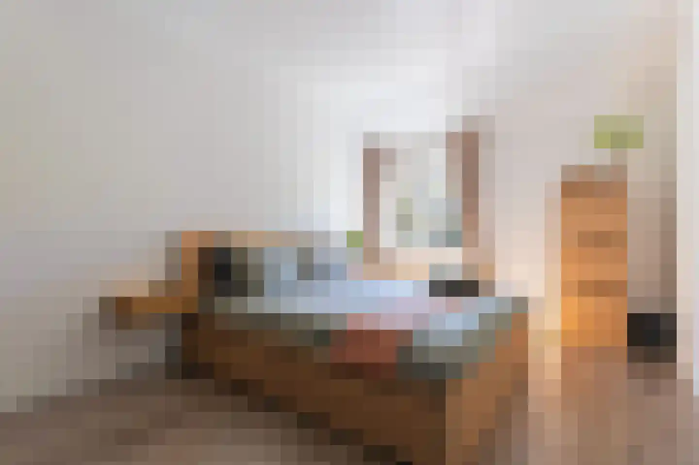 Nachtegaal 100 Hoorn thumbnail 31