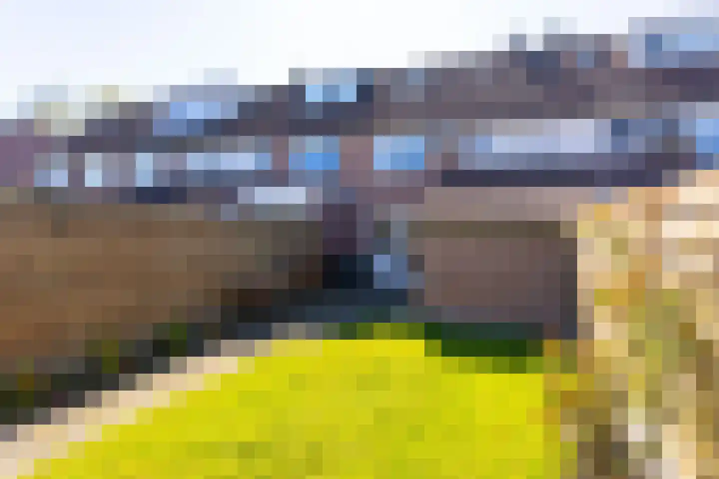 Nachtegaal 100 Hoorn thumbnail 48