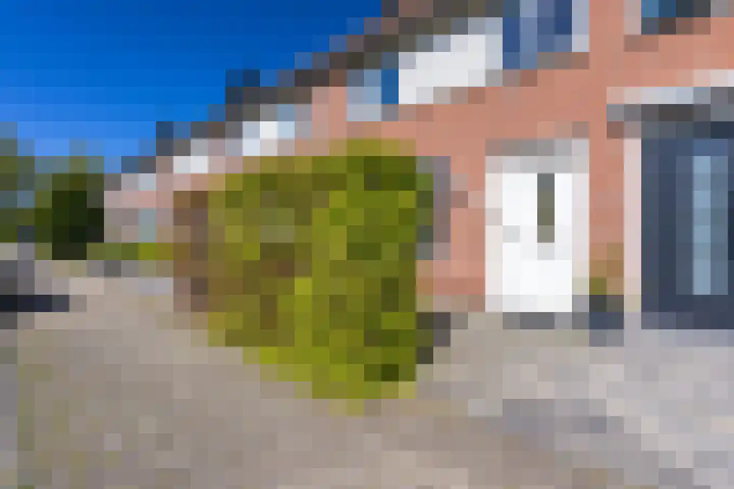 Nachtegaal 100 Hoorn thumbnail 5